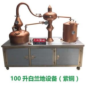 白蘭地釀酒設備，果酒蒸餾設備